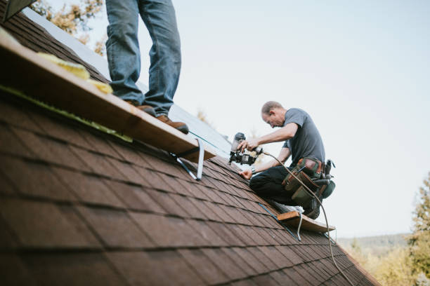 Best Metal Roofing Contractor  in Vass, NC